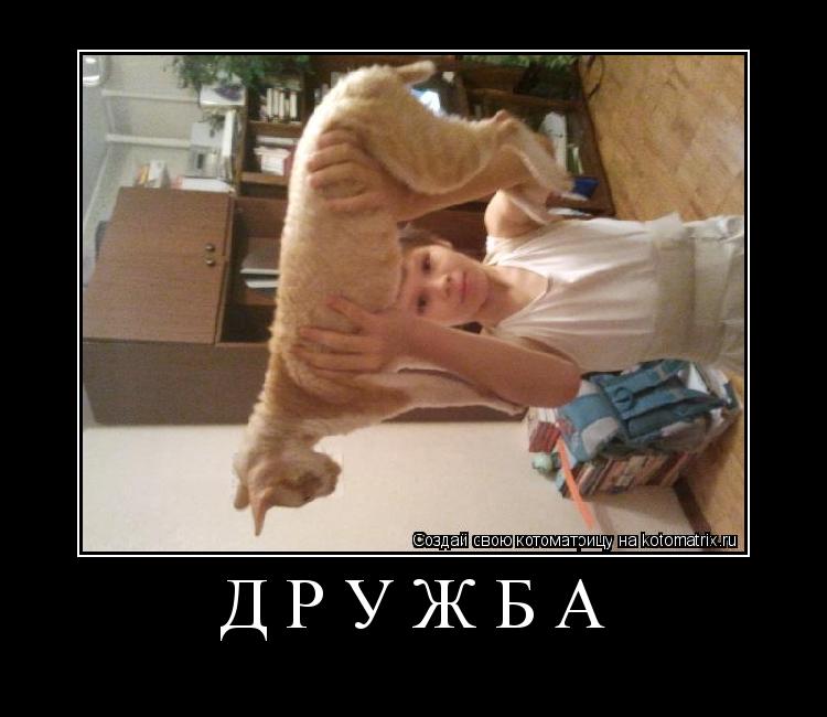 Котоматрица: ДРУЖБА 
