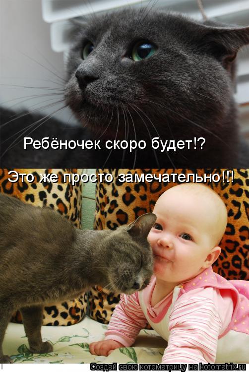 Ребёночек скоро будет!? Это же просто замечательно!!!... Котоматрица: Ребёночек скоро будет!? Это же просто замечательно!!!