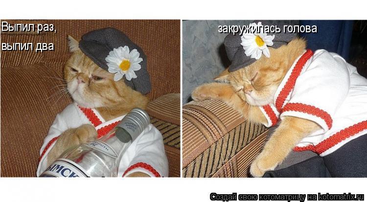 Выпил раз, закружилась голова выпил два... Котоматрица: Выпил раз, закружилась голова выпил два