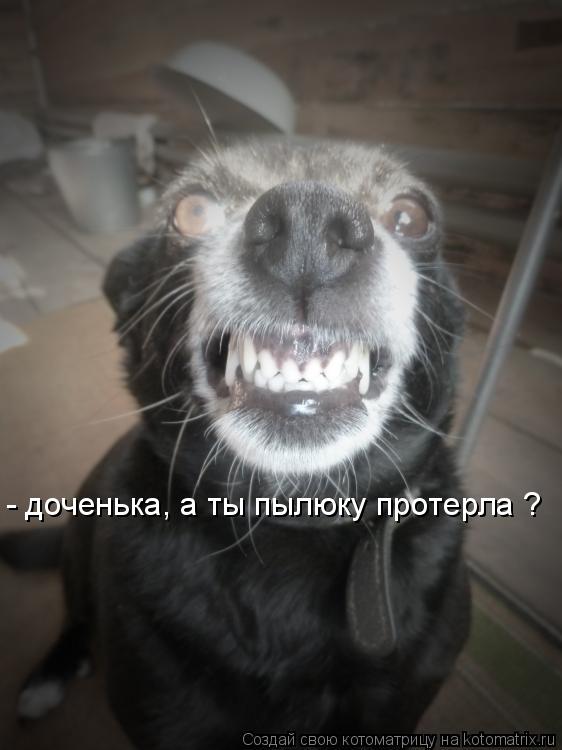 Котоматрица: - доченька, а ты пылюку протерла ?