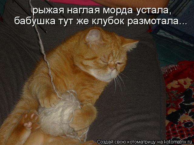Котоматрица: рыжая наглая морда устала, бабушка тут же клубок размотала...