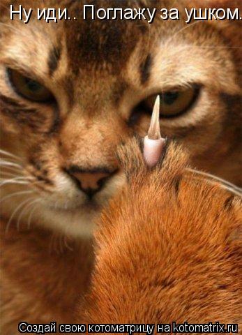 Котоматрица: Ну иди.. Поглажу за ушком..