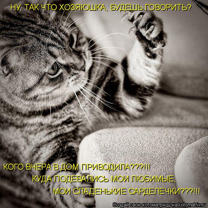 Котоматрица: НУ, ТАК ЧТО ХОЗЯЮШКА, БУДЕШЬ ГОВОРИТЬ? КОГО ВЧЕРА В ДОМ ПРИВОДИЛА???!!! КУДА ПОДЕВАЛИСЬ МОИ ЛЮБИМЫЕ, МОИ СЛАДЕНЬКИЕ САРДЕЛЕЧКИ???!!!