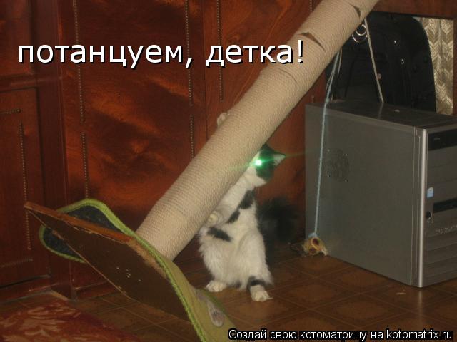 Котоматрица: потанцуем, детка!