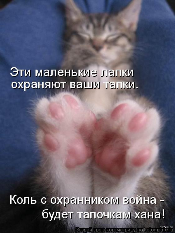 Котоматрица: Эти маленькие лапки  охраняют ваши тапки. Коль с охранником война -  будет тапочкам хана!