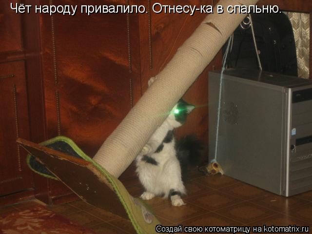 Котоматрица: Чёт народу привалило. Отнесу-ка в спальню.