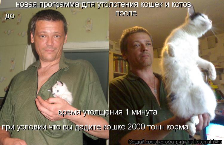 Котоматрица: новая программа для утолстения кошек и котов до после время утолщения 1 минута при условии что вы дадите кошке 2000 тонн корма