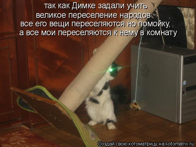 Котоматрица: так как Димке задали учить великое переселение народов все его вещи переселяются но помойку, а все мои переселяются к нему в комнату