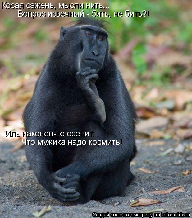 Котоматрица: Косая сажень, мысли нить... Вопрос извечный - бить, не бить?! Иль наконец-то осенит... Что мужика надо кормить!