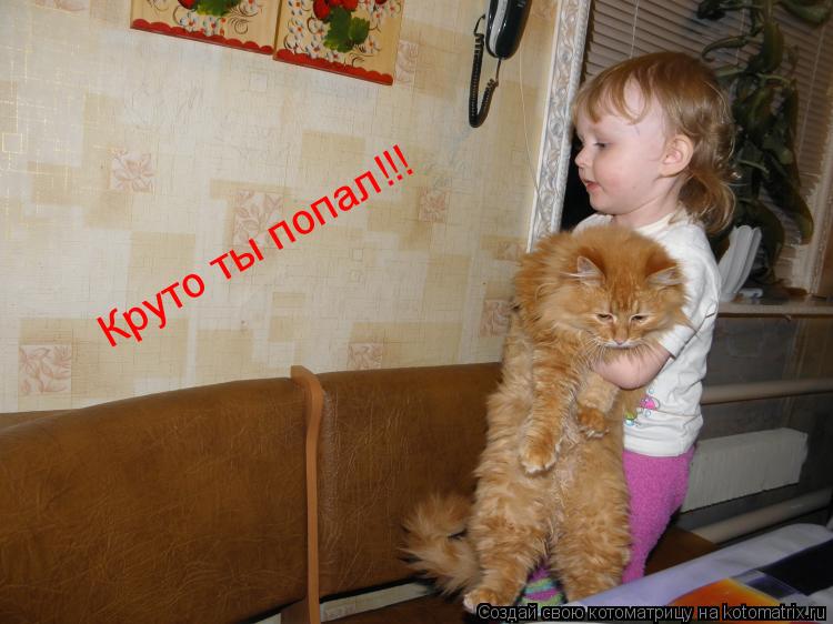 Котоматрица: Круто ты попал!!!