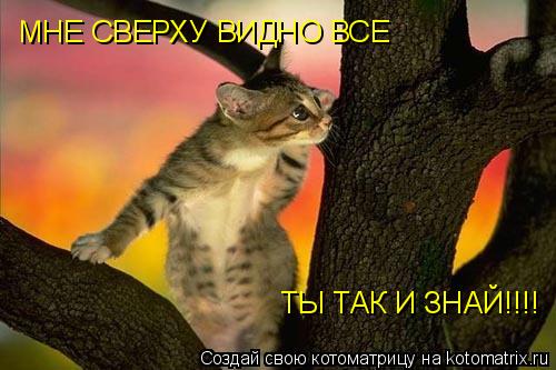 Котоматрица: МНЕ СВЕРХУ ВИДНО ВСЕ ТЫ ТАК И ЗНАЙ!!!!
