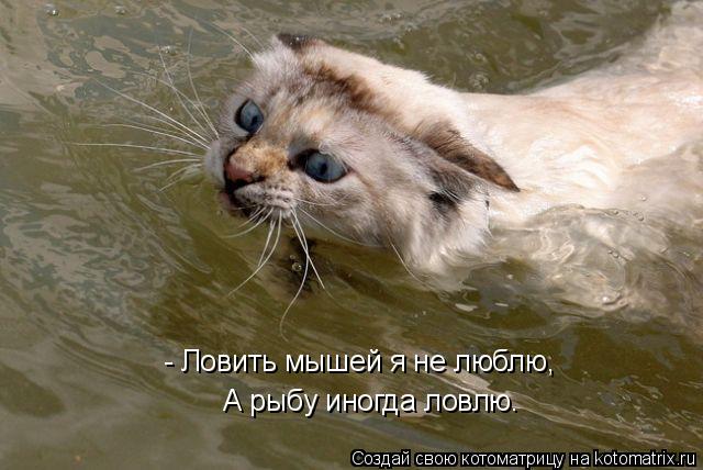 Котоматрица: - Ловить мышей я не люблю,  А рыбу иногда ловлю.