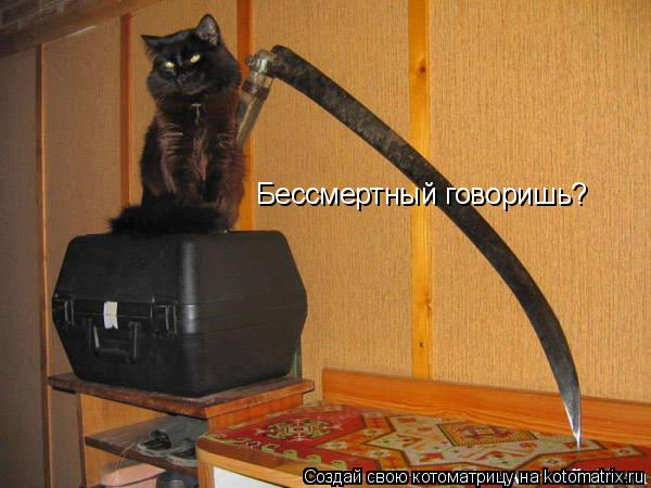 Котоматрица: Бессмертный говоришь?