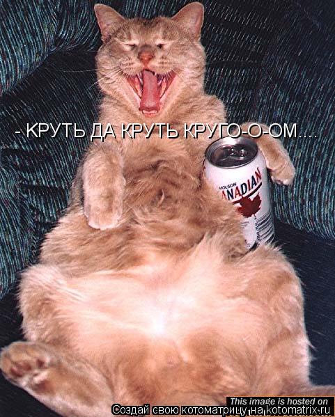 Котоматрица: - KРУТЬ ДА КРУТЬ КРУГО-О-ОМ....