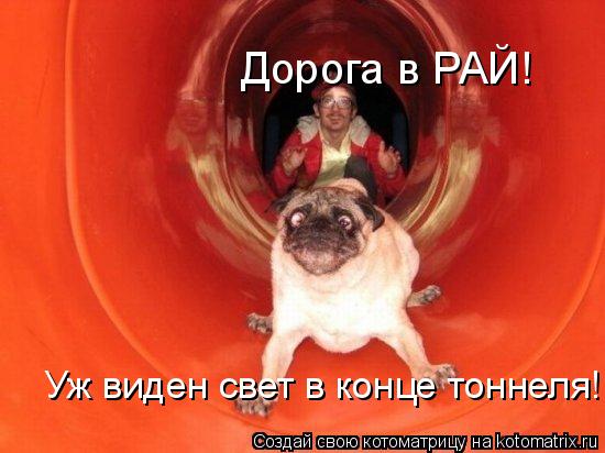 Котоматрица: Дорога в РАЙ! Уж виден свет в конце тоннеля!