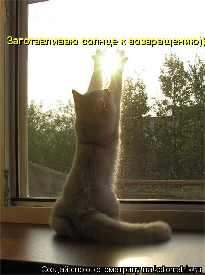 Котоматрица: Заготавливаю солнце к возвращению))