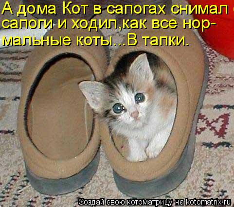 А дома Кот в сапогах снимал сапоги сапоги и ходил,как все нор- мальные коты...В тапки.... Котоматрица: А дома Кот в сапогах снимал сапоги сапоги и ходил,как все нор- мальные коты...В тапки.