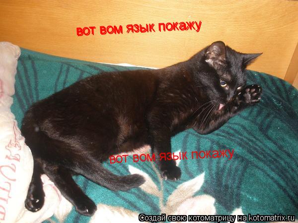 Котоматрица: вот вом язык покажу вот вом язык покажу вот вом язык покажу