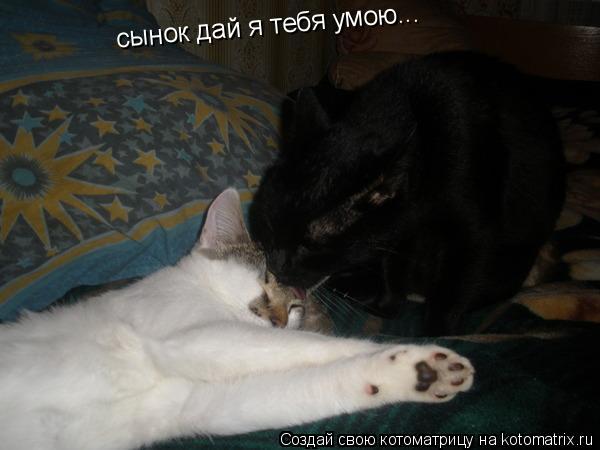 Котоматрица: сынок дай я тебя умою...  сынок дай я тебя умою...