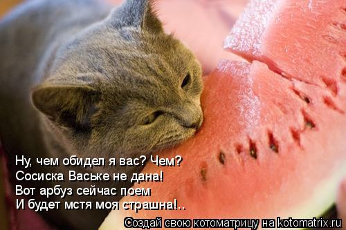 Котоматрица: Ну, чем обидел я вас? Чем? Сосиска Ваське не дана! Вот арбуз сейчас поем И будет мстя моя страшна!..