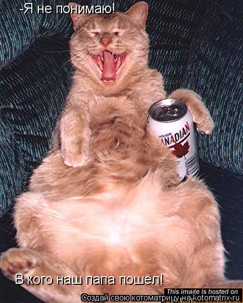 Котоматрица: -Я не понимаю! В кого наш папа пошёл!