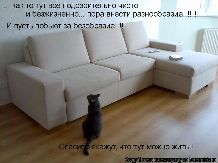 Котоматрица: ..  как то тут все подозрительно чисто и безжизненно... пора внести разнообразие !!!!! И пусть побьют за безобразие !!!! Спасибо скажут, что тут мо
