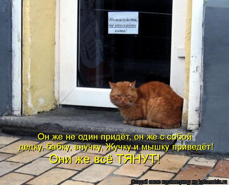 Он же не один придёт, он же с собой дедку, бабку, внучку, Жучку и мышку приведёт! Они же всё ТЯНУТ!... Котоматрица: Он же не один придёт, он же с собой дедку, бабку, внучку, Жучку и мышку приведёт! Они же всё ТЯНУТ!