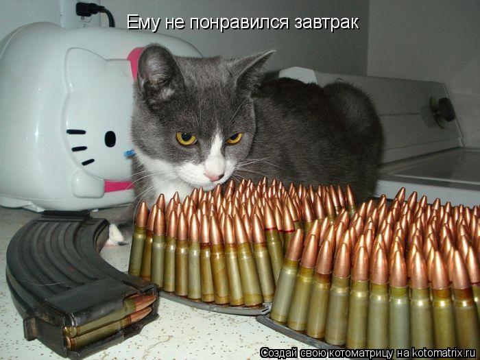 Котоматрица: Ему не понравился завтрак