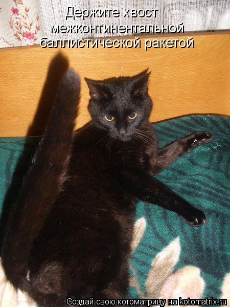 Котоматрица: Держите хвост межконтинентальной баллистической ракетой