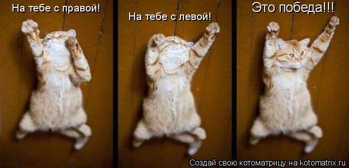 На тебе с правой! На тебе с левой! Это победа!!!... Котоматрица: На тебе с правой! На тебе с левой! Это победа!!!