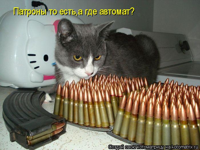 Котоматрица: Патроны то есть,а где автомат?