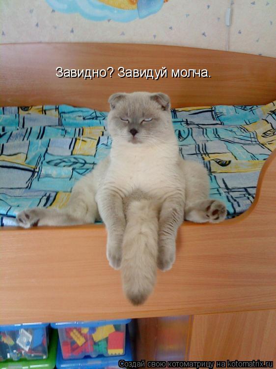 Котоматрица: Завидно? Завидуй молча.