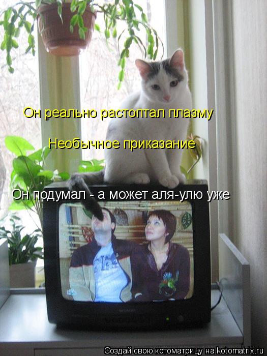 Котоматрица: Он реально растоптал плазму Необычное приказание Он подумал - а может аля-улю уже