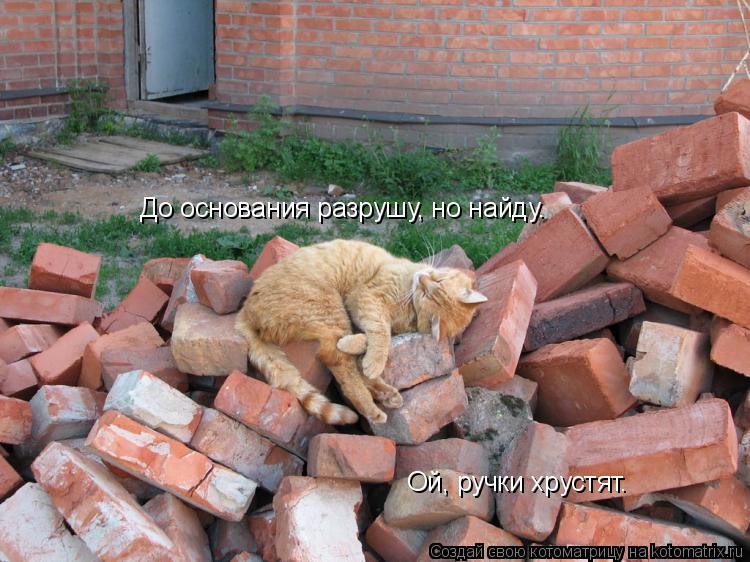 Котоматрица: До основания разрушу, но найду. Ой, ручки хрустят.