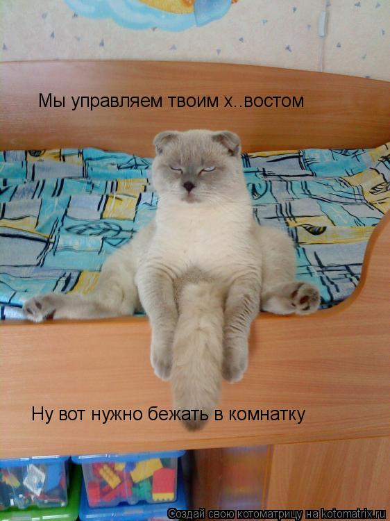 Котоматрица: Мы управляем твоим х..востом Ну вот нужно бежать в комнатку