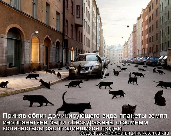 Котоматрица: Приняв облик доминирующего вида планеты земля, инопланетяне были обескуражены огромным количеством расплодившихся людей.