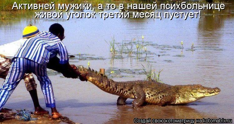 Котоматрица: Активней мужики, а то в нашей психбольнице  живой уголок третий месяц пустует!