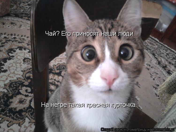 Котоматрица: Чай? Его приносят наши люди. На негре такая красная курточка.