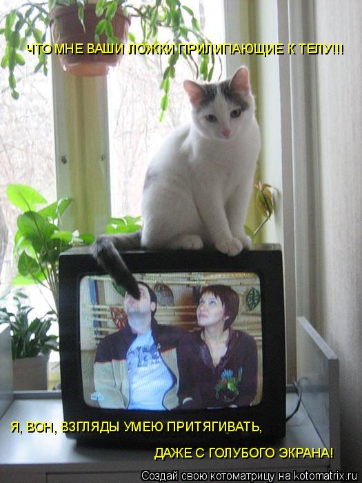 Котоматрица: ЧТО МНЕ ВАШИ ЛОЖКИ ПРИЛИПАЮЩИЕ К ТЕЛУ!!! Я, ВОН, ВЗГЛЯДЫ УМЕЮ ПРИТЯГИВАТЬ, ДАЖЕ С ГОЛУБОГО ЭКРАНА!