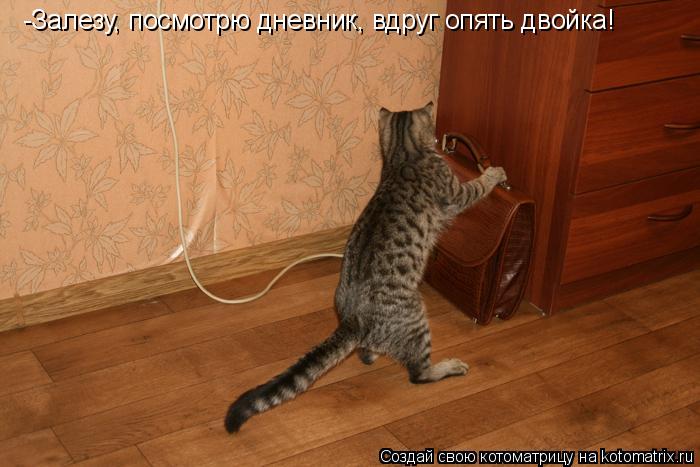 -Залезу, посмотрю дневник, вдруг опять двойка!... Котоматрица: -Залезу, посмотрю дневник, вдруг опять двойка!