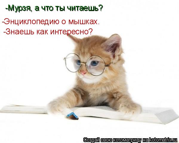 Котоматрица: -Мурзя, а что ты читаешь? -Энциклопедию о мышках. -Знаешь как интересно?