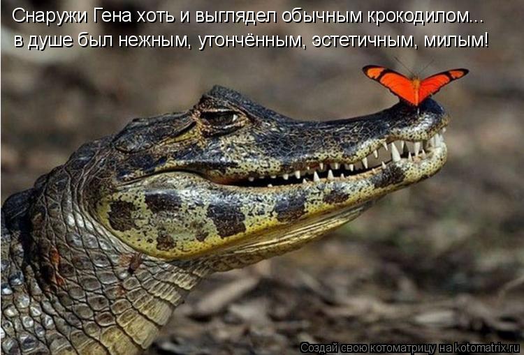 Снаружи Гена хоть и выглядел обычным крокодилом... в душе был нежным, утончённым, эстетичным, милым!... Котоматрица: Снаружи Гена хоть и выглядел обычным крокодилом... в душе был нежным, утончённым, эстетичным, милым!