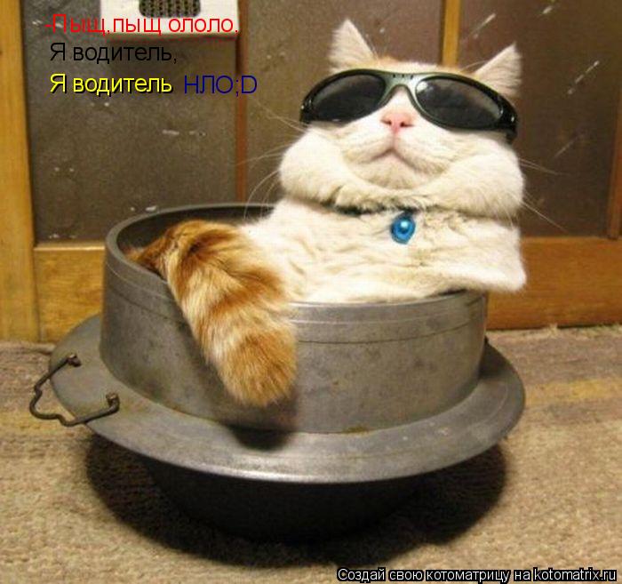 Котоматрица: -Пыщ,пыщ ололо, Я водитель, Я водитель НЛО;D