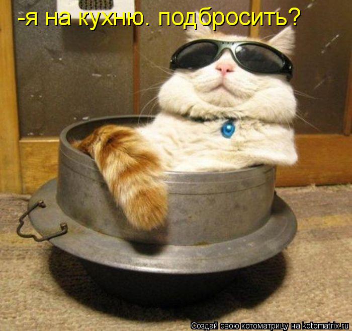 Котоматрица: -я на кухню. подбросить?