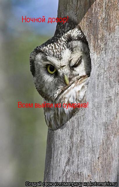 Котоматрица: Ночной дозор!   Всем выйти из сумрака!