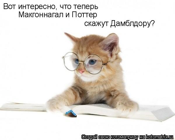Котоматрица: Вот интересно, что теперь Макгоннагал и Поттер скажут Дамблдору?