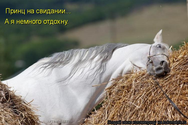 Котоматрица: Принц на свидании... А я немного отдохну.
