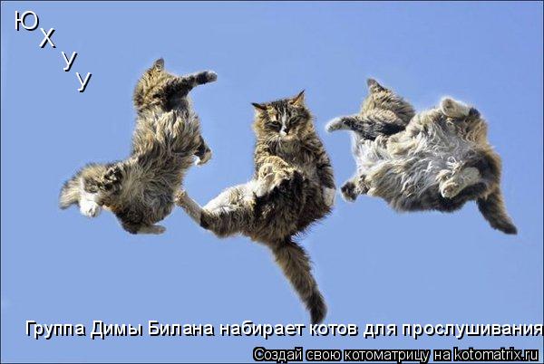 Котоматрица: Группа Димы Билана набирает котов для прослушивания! Ю Х У У