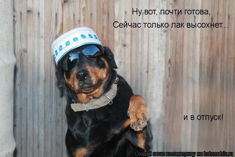 Котоматрица: Ну вот, почти готова,  Сейчас только лак высохнет... и в отпуск!