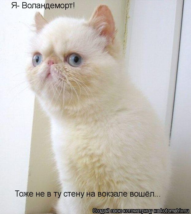 Котоматрица: Я- Воландеморт! Тоже не в ту стену на вокзале вошёл...
